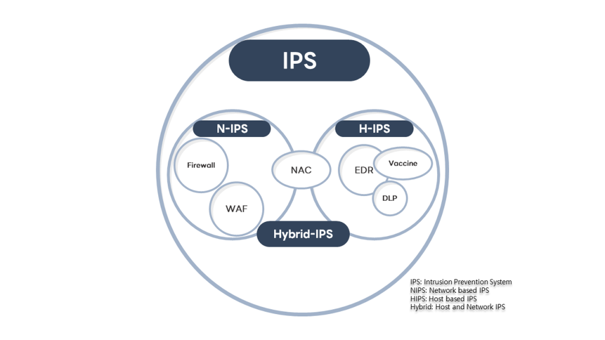 하이브리드 IPS 분류