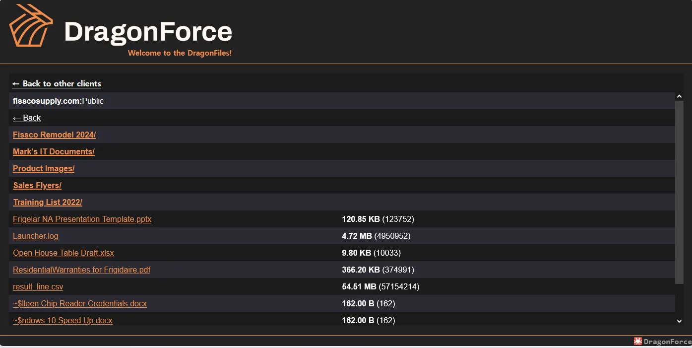dragonforce_02