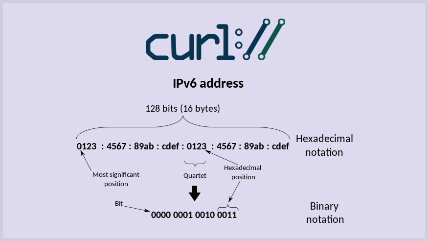 IPv6 기반에서 curl 이용하여 웹 접속 체크